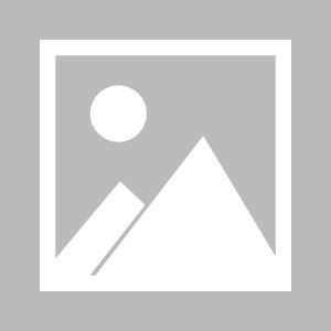 pg电子试玩-【比甲】沙勒罗瓦vs安特卫普首发阵容名单(2025年08月18日)