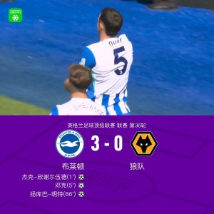 pg电子试玩版-布莱顿3-0狼队，欣谢尔伍德、邓克闪击，明特破门